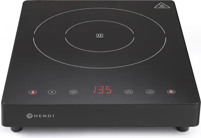 A black induction cooker on a white background.