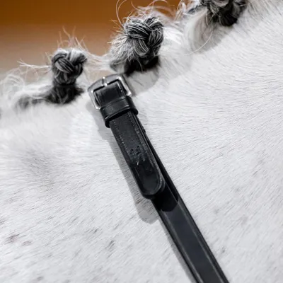 Immagine prodotto di Redini Horseware, modello Curb, taglia Pony, colore nero