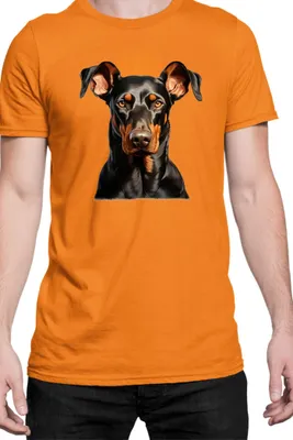 Zdjęcie produktu dla Męska Koszulka Dogs Breeds Doberman Pinscher Dog Breed 006, Man XL / Pomarańczowy