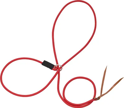 Produktbild von Halfter FUNKTION 3-in-1, Farbe:rot, Groesse:290