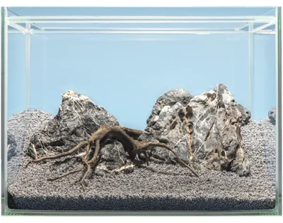 Productafbeelding van Sera Hardscape Asia