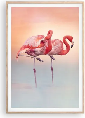 Produktbild von Gerahmtes Poster - Rahmen in heller Eiche - Flamingos Exotik Vögel - 70x100 cm - Wand Bild - Wanddeko - Wandbilder - Kunstposter - Wandposter - Bilderrahmen - Bilder - Kunstdruck - P2NPA70x100-5044
