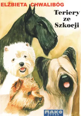 Image de Terriery ze Szkocji