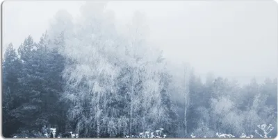Produktbild von Schreibtischmatte Tischunterlage 90x45 cm Mauspad - Winterbäume