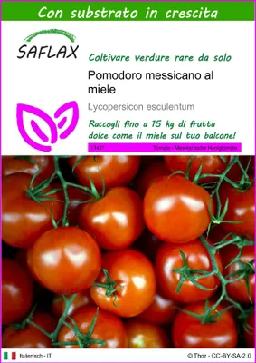 Immagine prodotto di SAFLAX  - Pomodoro messicano al miele - 10 semi - Con substrato - Lycopersicon