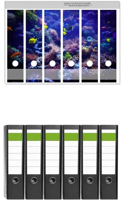 Produktbild von Wallario 6 Stück breite Ordner inkl. Klebeetiketten mit Motive Farbenwelt unter Wasser -  Set mit Rückenschildern / Ordnerrücken Stickern