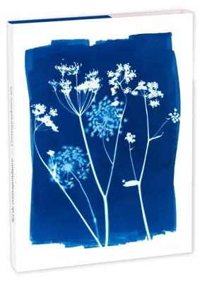 Produktbild von Clairefontaine 5x Korrespondenzset 12x16,5 cm mit Motiven 83507C