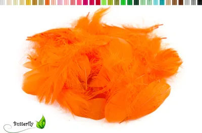 Produktbild von 5g Gänsefedern ca. 7-12cm, Farbauswahl:orange 668