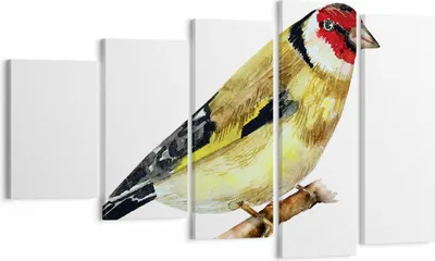 Produktbild von Bild auf Leinwand - Leinwandbild - 5 Teile - Stieglitz Vogel Aquarell - 100x60cm - Wand Bild - Wanddeko - Wandbilder - Leinwanddruck - Bilder - Wanddekoration - Leinwand bilder - EG100x60-4179