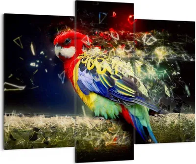 Produktbild von Bild auf Leinwand - Leinwandbild - Papagei Vogel Feder - 130x100cm - Wand Bild - Wanddeko - Leinwanddruck - Bilder - Kunstdruck - Wanddekoration - Leinwand bilder - Wandkunst - CB130x100-3682