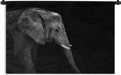 Produktbild von MuchoWow® Wandteppich Wandbehang Elefant - Schwarz und weiß - Porträt - Tiere 90x60 cm Tapisserie Dekoration Wandtuch - Wandskulpturen - Bildteppich