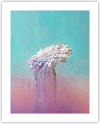 Produktbild von Poster - Poster ohne Rahmen - Modern Grafik Blume - 40x50 cm - Wand Bild - Wanddeko - Wandbilder - Kunstposter - Wandposter - Bilder - Kunstdruck - Wanddekoration - Wandbild - P2XPA40x50-4534
