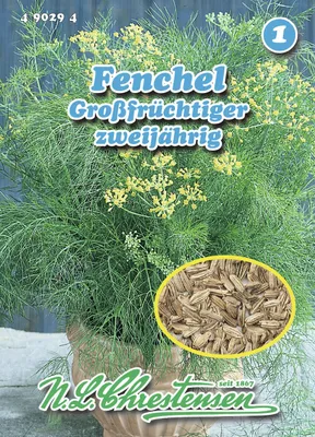 Produktbild von Fenchel Großfrüchtiger | Fenchelsamen von N.L. Chrestensen