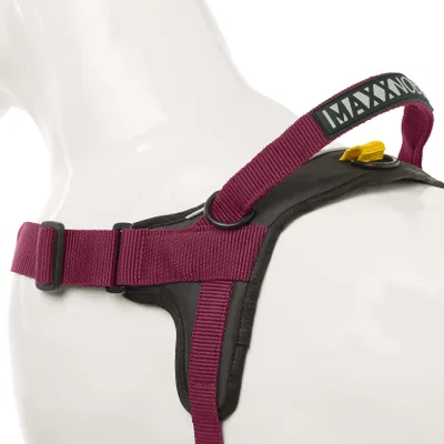 Produktbild von Hundegeschirr EasyFit MaxxNobel - rot