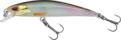 Zdjęcie produktu dla Berkley DEX Bullet Jerk (Wagasaki)