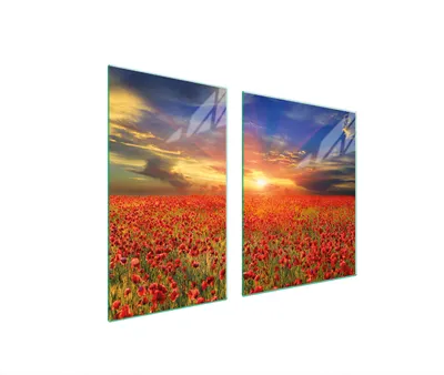 Produktbild von Glasplatte und Schneidebrett 100x52 MAKI