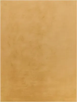 A close-up, textured view of a rug.