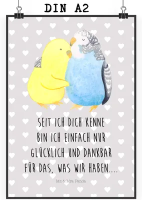 Produktbild von Mr. & Mrs. Panda Bild Wellensittich Liebe DIN A2 - Grau Pastell - Geschenk, Vertrauen, wanddeko, Vögel, Wandbild, Wandschmuck, drucke, Kunstdruck, Verknallt, Freundin