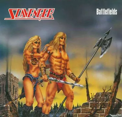 Image de Scavenger - BATTLEFIELDS Vinyle