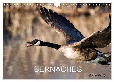 Produktbild von BERNACHES (Wandkalender 2027, DIN A4, Hochformat), CALVENDO Monatskalender