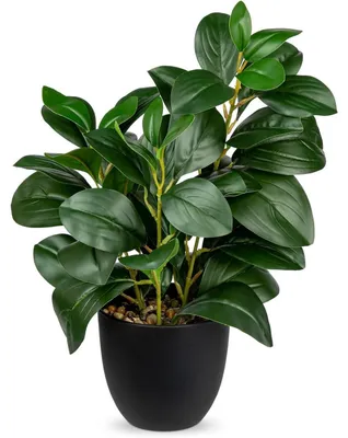 Produktbild von Künstliche Kamelie Camellia Japonica im Kunststofftopf 28 cm Grün