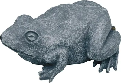 Produktbild von Oase Wasserspeier Frosch