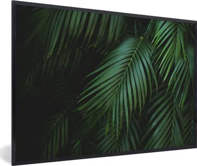 Produktbild von MuchoWow® Gerahmtes Poster Palmenblätter - Palmen - Tropisch 90x60 cm - Poster mit Schwarzem Bilderrahmen Wandposter Rahmen Foto Bilder - Fotorahmen - Foto-Plakat