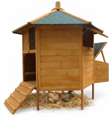 Image de poulailler à 6 coins Poulet Voliere Poulet Nid de ponte Cage d'incubation