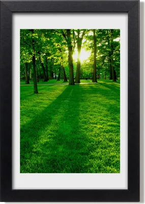 Produktbild von Bild 20x30 MDF-Rahmen, Wandkunst Sonne im Park