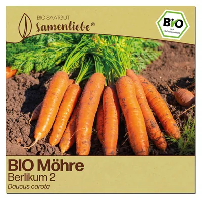 Produktbild von Samenliebe  Karotte Samen | Berlikum 2 - winterhart & orange & lange - samenfestes  Saatgut
