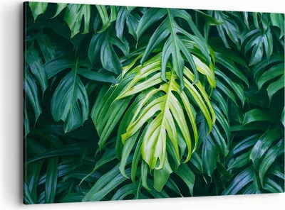 Produktbild von Bild auf Leinwand - Leinwandbild - Blume Natur - 120x80cm - Wand Bild - Wanddeko - Wandbilder - Leinwanddruck - Bilder - Kunstdruck - Wanddekoration - Leinwand bilder - Wandkunst - AA120x80-3951