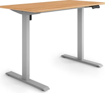 Produktbild von ESMART Germany ETX-121GM 120 x 60 cm Ahorn-Nachbildung Ergonomischer Steh-Sitz-Schreibtisch Stufenlos elektrisch höhenverstellbar 73,5 - 123,5 cm 3x Memory Aktivitätserinnerung Soft-Start/Stopp Schnelle Montage