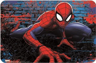Produktbild von Spiderman Bricks Tischset Untersetzer 43x28 cm