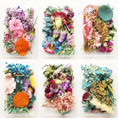 Productafbeelding van Famanu gedroogde bloemen voor doe-het-zelf projecten - 2 stuks