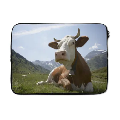 Produktbild von MuchoWow® Laptop Hülle 14 ZollKuh - Berg - Gras Laptoptasche - Laptoptasche - Stoßsicher - Schutzhaube