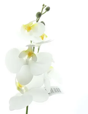 Produktbild von GASPER Schmetterlingsorchidee - Phalenopsis Weiß 45 cm - Kunstblumen
