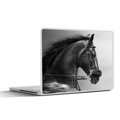 Produktbild von MuchoWow® Laptop Aufkleber Sticker Cover Pferde - Schwarz - Porträt - Tiere 32.5x23.5 cm - Sticker für Laptop - Selbstklebend