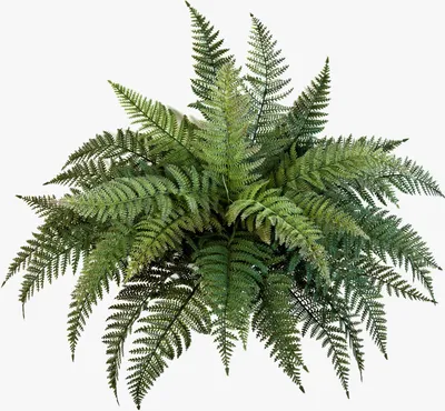 Produktbild von artplants.de Königsfarn Aaron, 35 Blätter, grün, auf Steckstab, 50cm, Ø 65cm - Künstliche Pflanze - Kunst Farn