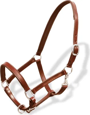 Image de Licol Licou en cuir réglable pour écurie Poney Marron