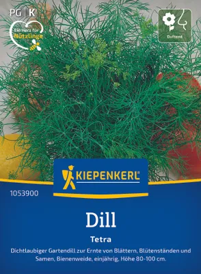 Produktbild von Kiepenkerl Dillsamen Tetra Anethum graveolens 600 Pflanzen