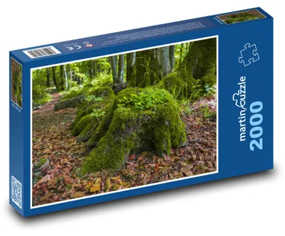Zdjęcie produktu dla martinpuzzle - Puzzle 2000 - Les - parależe