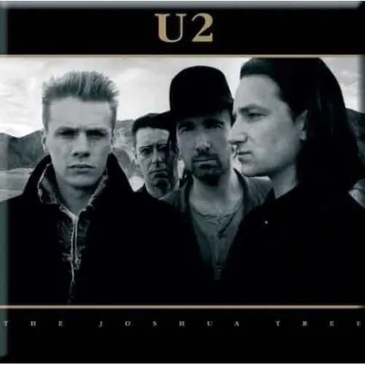 Zdjęcie produktu dla U2 Joshua Tree Magnes
