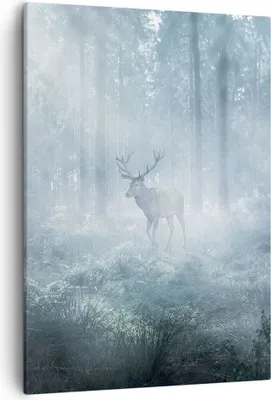 Produktbild von Bild auf Leinwand - Leinwandbild - Einteilig - Hirsch Wald Morgendämmerung - 50x70cm - Wand Bild - Wanddeko - Wandbilder - Leinwanddruck - Wanddekoration - Leinwand bilder - Wandbild - PA50x70-4667