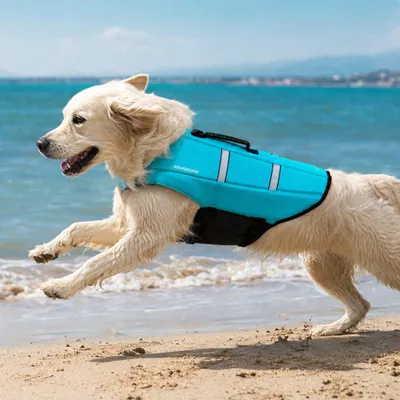 Imagen del producto de Aquadesign Chaleco de flotación para perro Cordura 1000D - Azul - Talla L