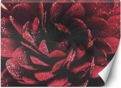 Produktbild von Vlies fototapete Blume Makro 350x245 cm Feeby Rot inkl. Kleber einfache Montage