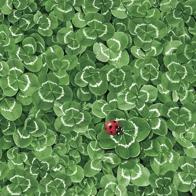 Produktbild von 20 Servietten Clover Background with ladybug - Marienkäfer auf Klee 33x33cm