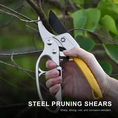 Zdjęcie produktu dla Nożyce ogrodnicze z ostrzem stalowym i ergonomicznymi uchwytami; nożyce do przycinania roślin; nożyce do bonsai; zestaw narzędzi ogrodniczych do pielęgnacji roślin, róż, kwiatów i drzew owocowych