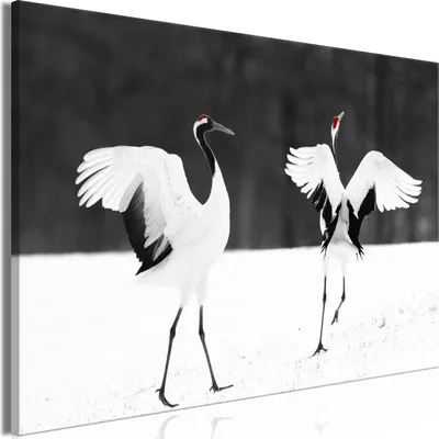 Produktbild von Italienischer Leinwand Leinwandbild - Dancing Cranes (1 Part) Wide 120x80 cm Tiere g-B-0141-b-a