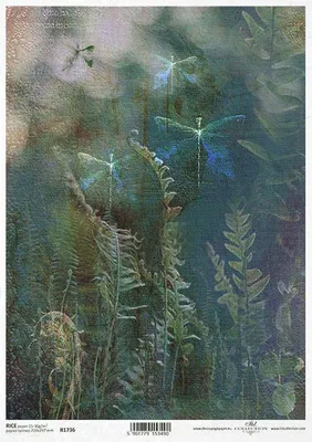 Produktbild von Reispapier für Decoupage, Farne, Hintergrund, Libellen, ITD-R1736 - A4