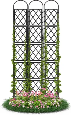 Produktbild von Wandspalier Schwarz 90x240 cm mit Bogen Rankgitter Pflanzenstütze Gitterspalier für Garten